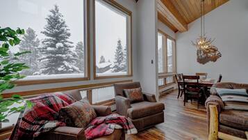 Smart TV, fireplace, DVD player, video library