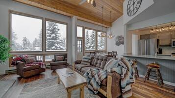 Smart TV, fireplace, DVD player, video library
