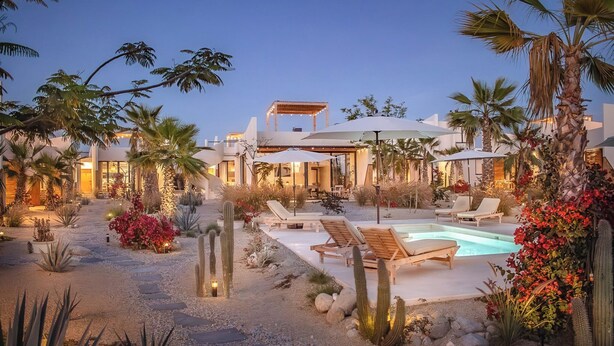 A pool area with lounge chairs and a pergola, surrounded by cacti and desert plants.