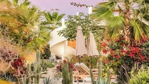 A garden with cacti, palm trees, and a lounge area with umbrellas.