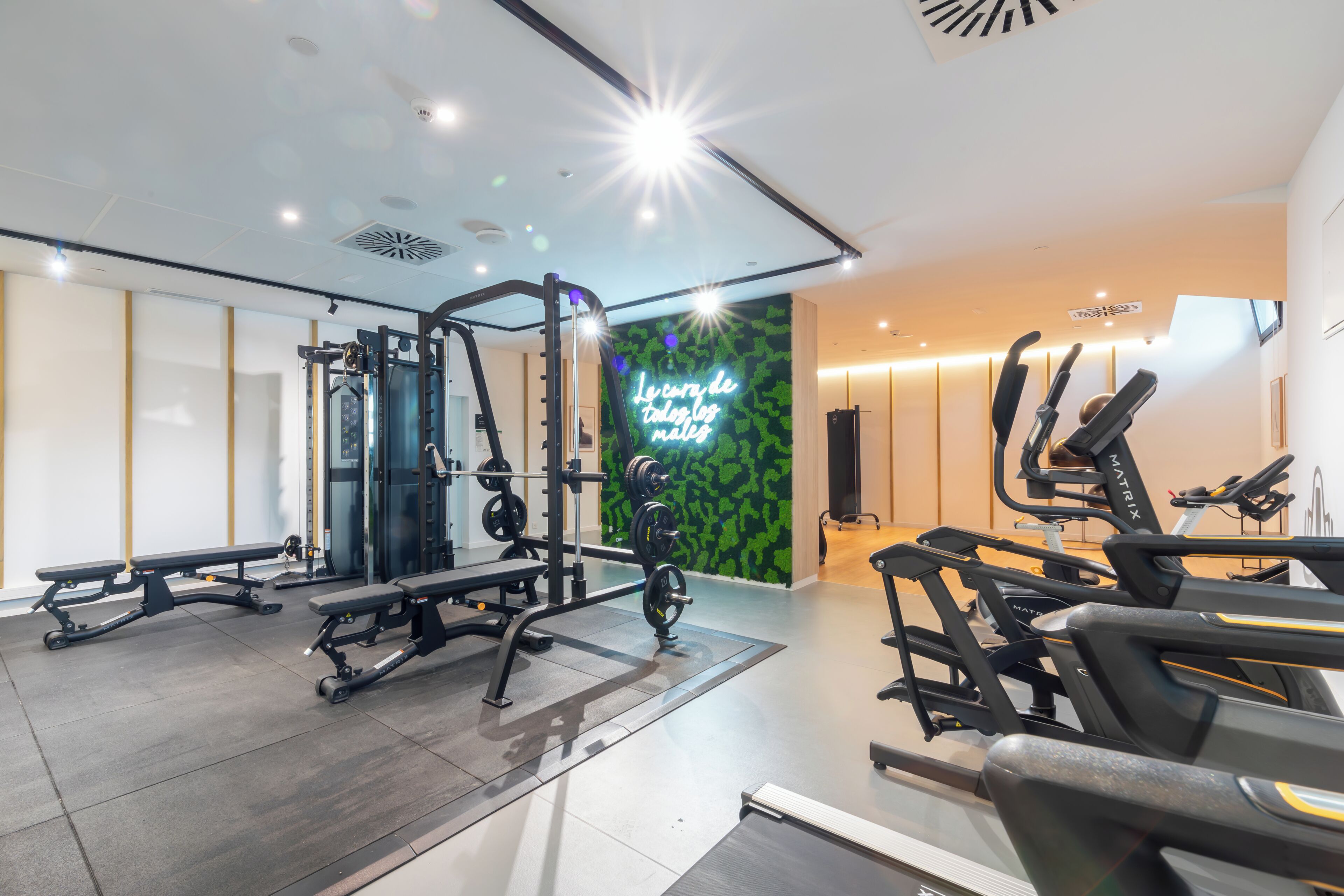 Gimnasio