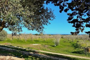 المنطقة المحيطة بالمنشأة