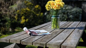Una mesa de picnic de madera con un florero de vidrio con flores amarillas y una revista.