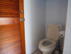 Shower, hair dryer, bidet, towels