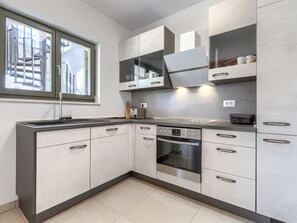 Fridge, oven, dishwasher, cookware/dishes/utensils
