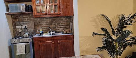 Frigorífico, microondas, horno y placa de cocina