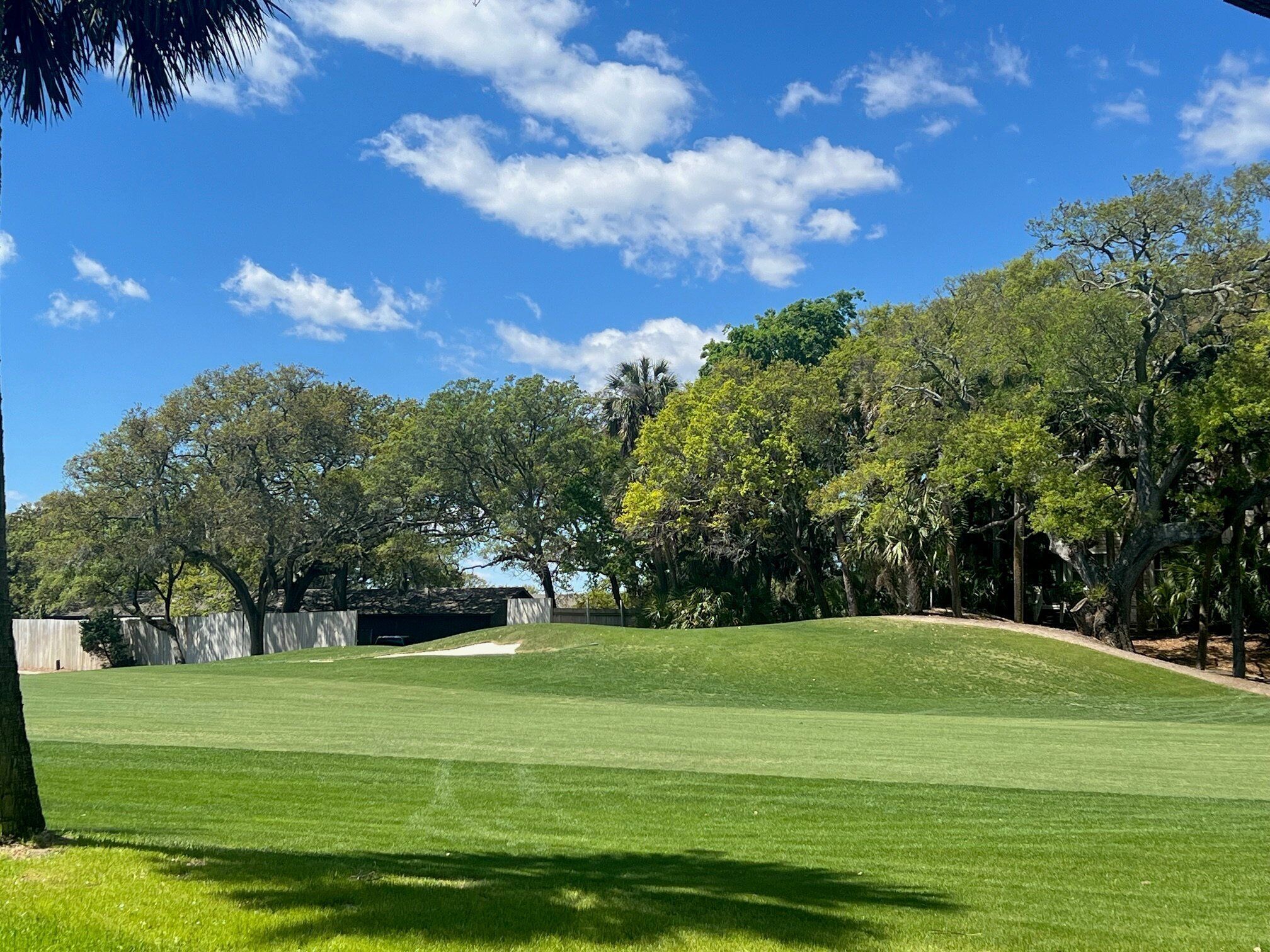 Ein gepflegter Golfplatz mit blauem Himmel, üppigem Grün und verschiedenen Bäumen.