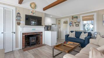 Smart TV, chimenea, libros