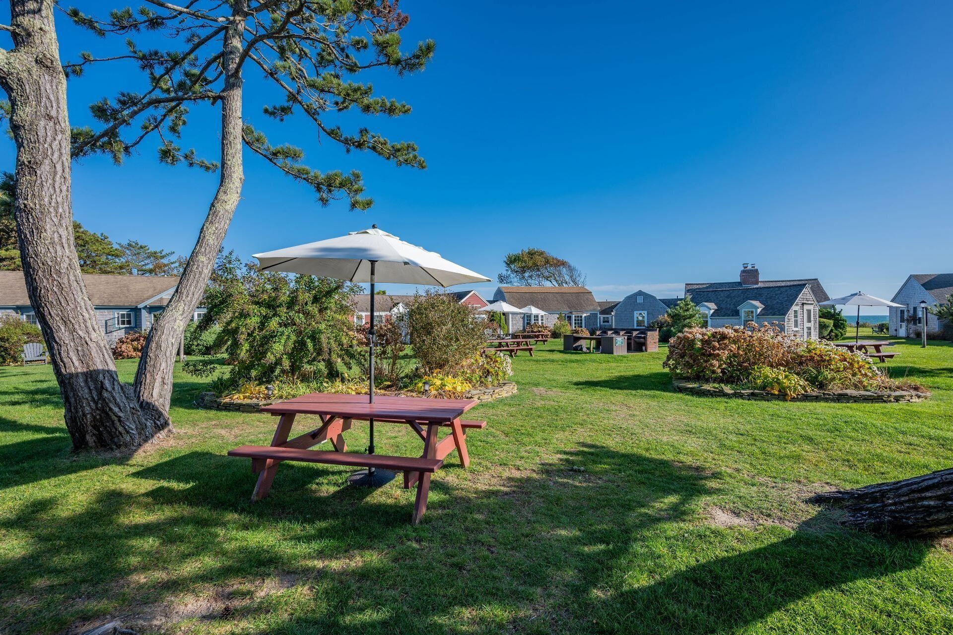 A picnic area with a table and umbrella, surrounded by well-maintained grass and trees, with houses in the background.