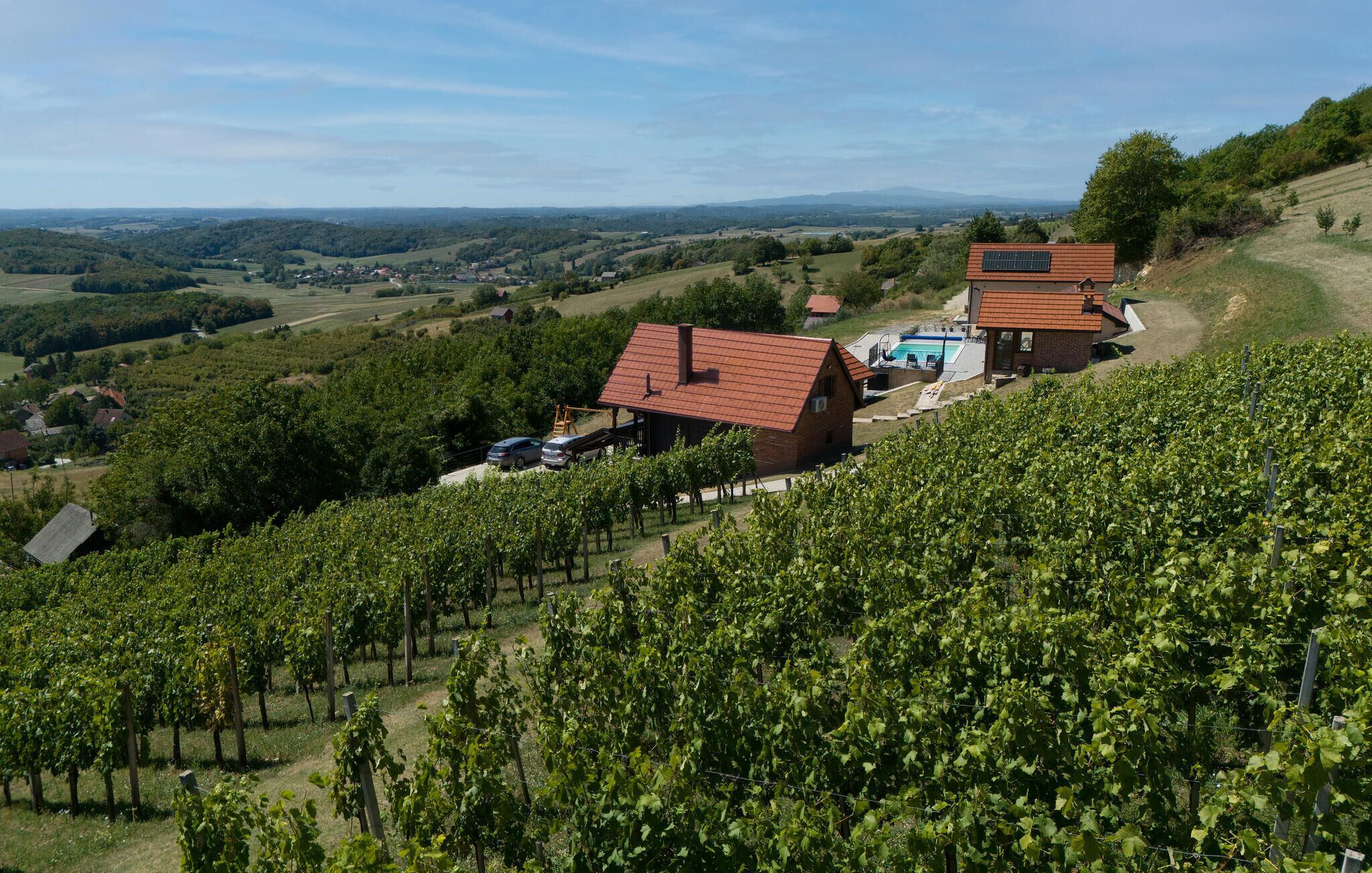 A vineyard with rows of grapevines, a red-roofed building, and a small structure with a pool.