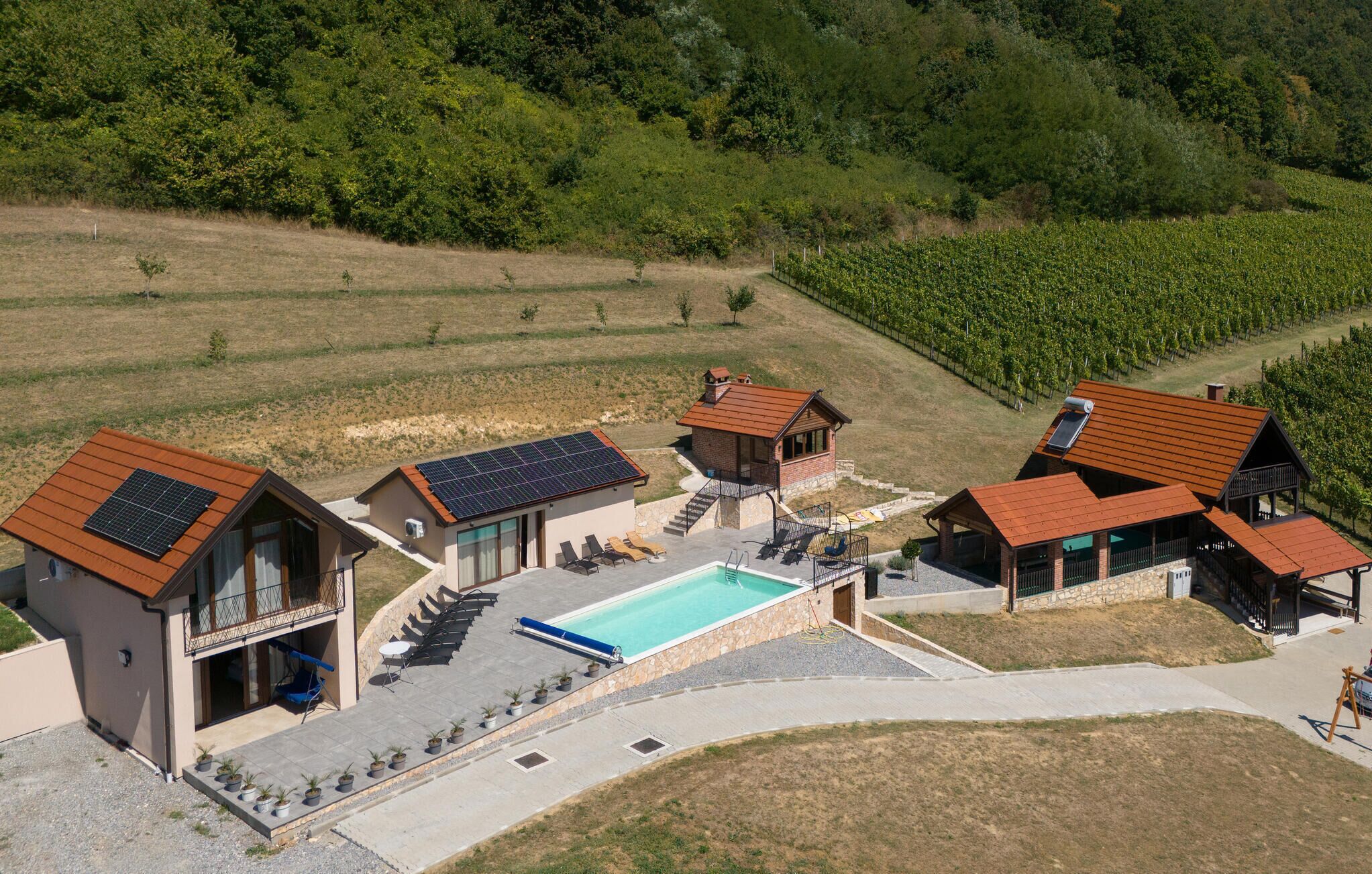Eine moderne Villa mit Swimmingpool, Solaranlage und einem Weinberg im Hintergrund.