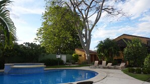 Una piscina con sillas de descanso, rodeada de árboles y un edificio con techo de tejas.