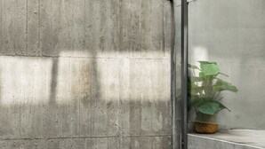 Un mur en béton avec une plante en pot, placée dans un panier.