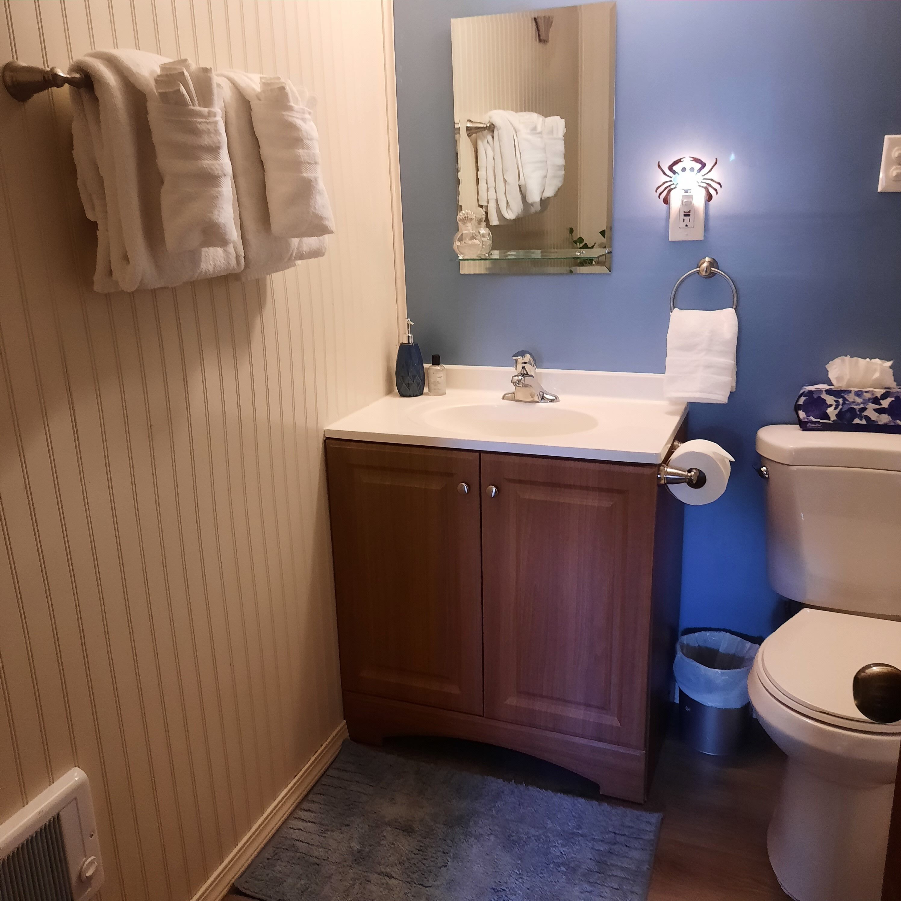 Hair dryer, towels, soap, toilet paper