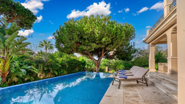 Ein Swimmingpool mit Liegestühlen, umgeben von üppiger Vegetation und einem großen Baum.