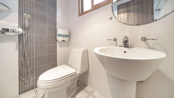 Une salle de bain avec des toilettes, un lavabo et une douche.