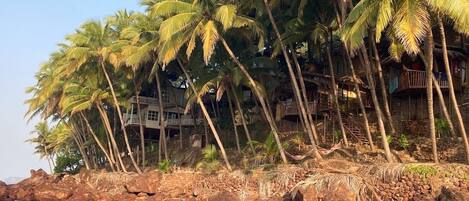A beach with palm trees and a rocky shoreline.
