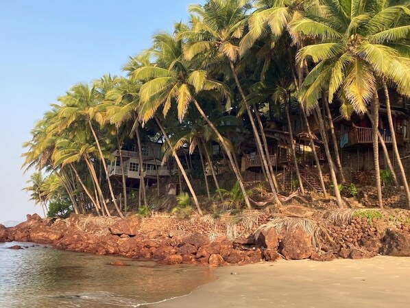 A beach with palm trees and a rocky shoreline. - Belantara Beach Front Resort (Vengurla)