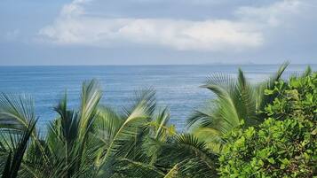 Beach/ocean view