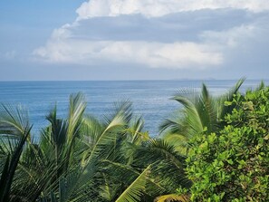 A coastal landscape with palm trees and the sea. - Belantara Beach Front Resort (Vengurla)
