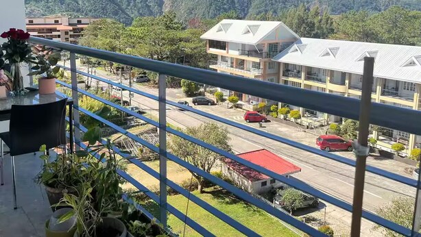 Un balcón con plantas en macetas y vistas a una calle con coches y edificios.