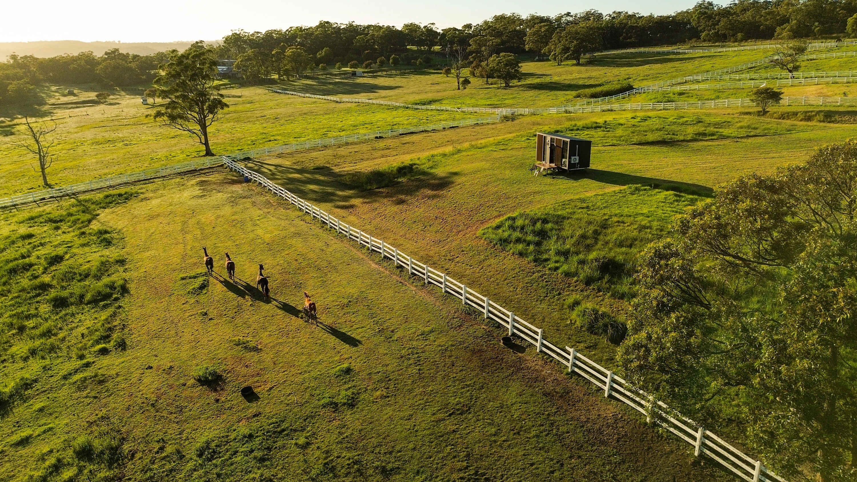 A fenced property with a small building and a pathway.
