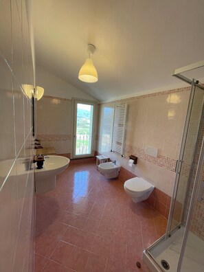 Shower, hair dryer, bidet, towels
