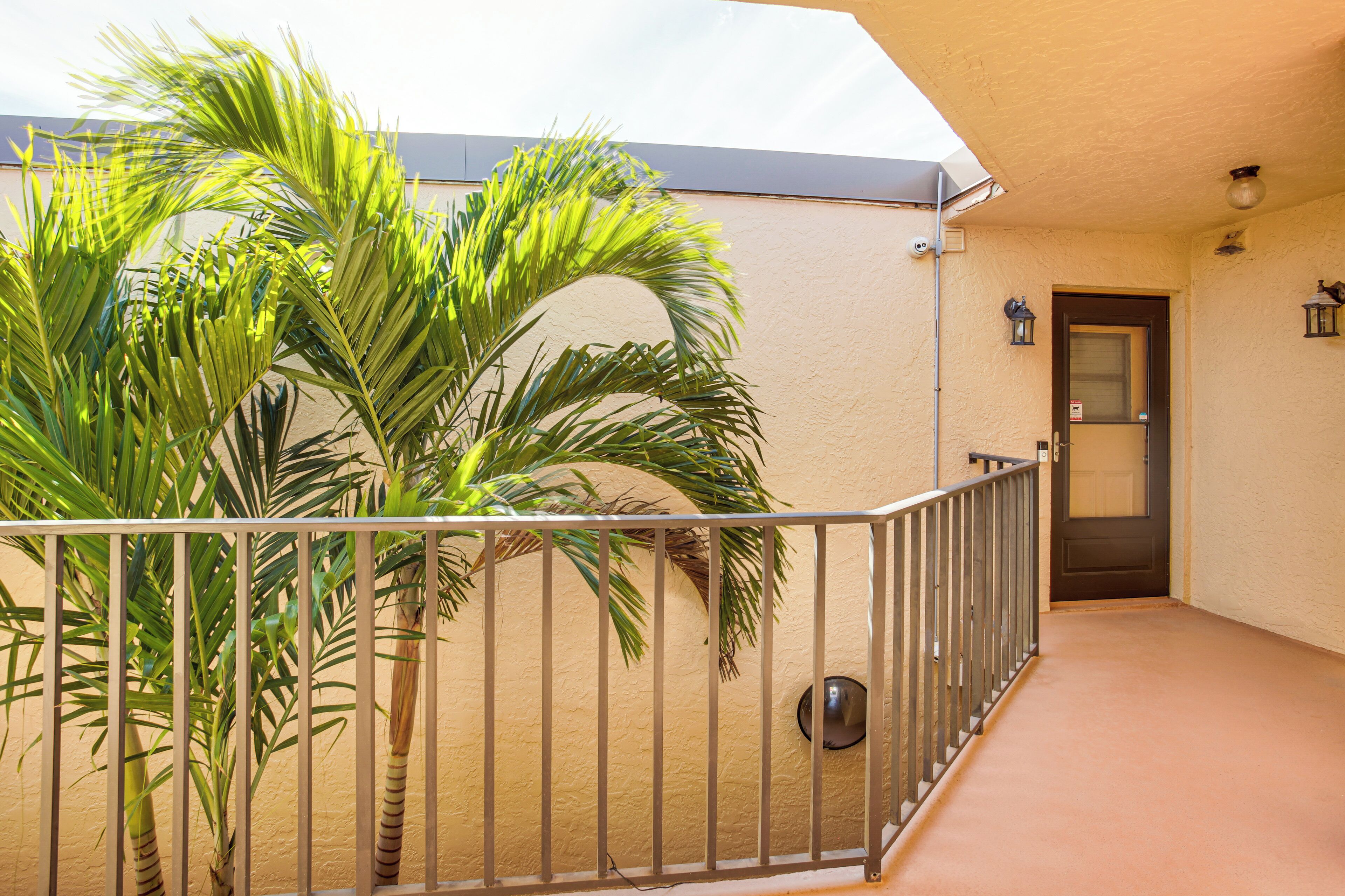 A balcony with a palm tree, a door, and a light fixture.