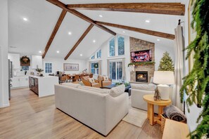 TV, fireplace, books