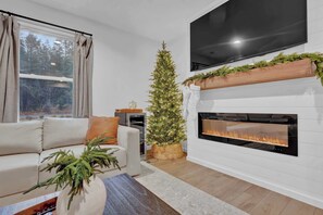 TV, fireplace, books
