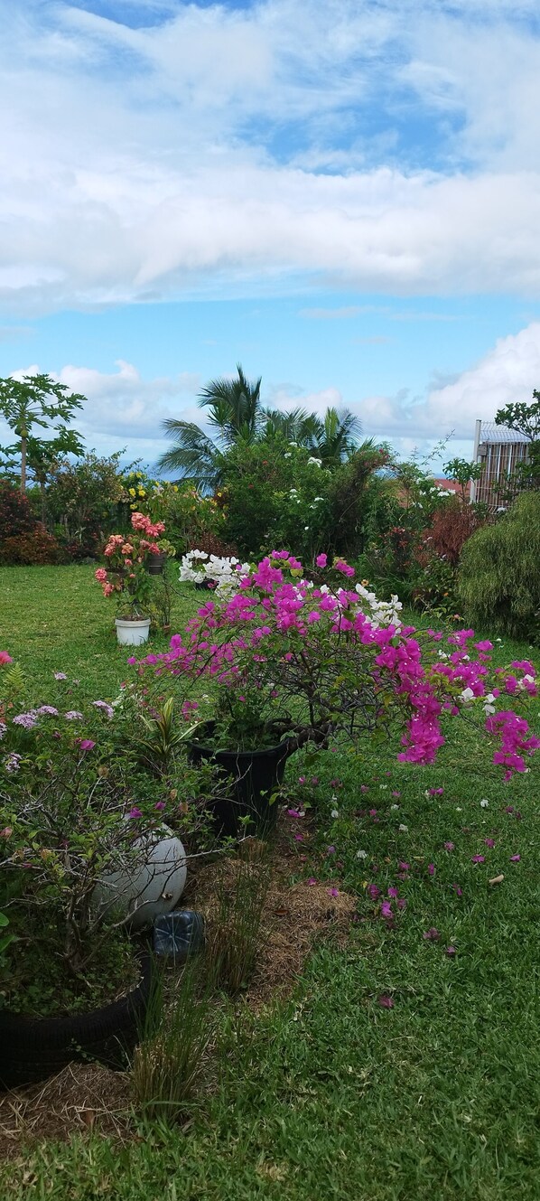 Jardines del alojamiento