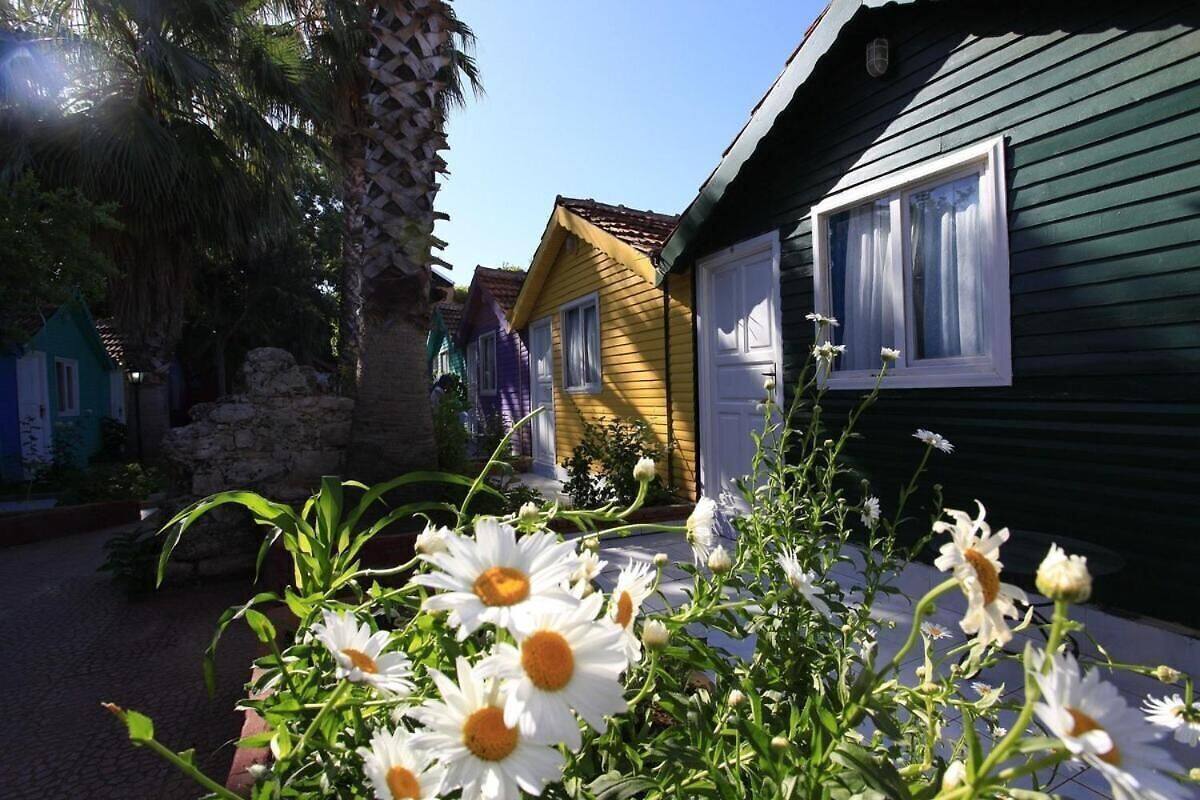 Una hilera de casas coloridas con un jardín al frente.