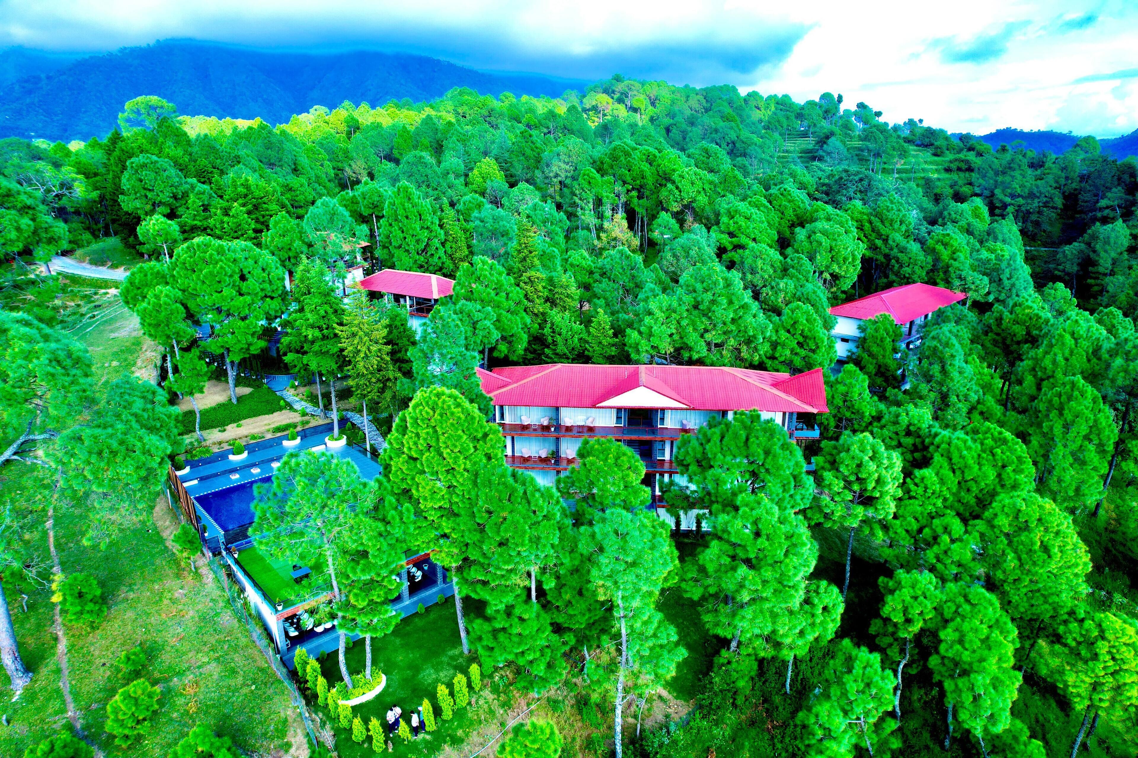 A large building with a red roof surrounded by dense green forest.