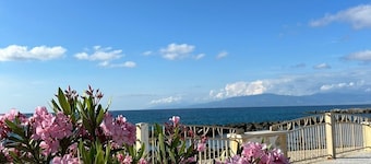 Морська зірка