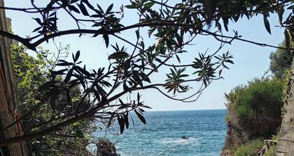 Apartmani Seaside - Enjoy the sunset
