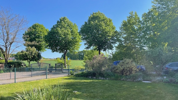 A park with a fenced pathway, trees, and a grassy area.