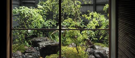 Jardim