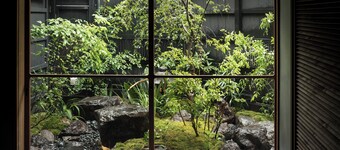 TRUNK HOUSE