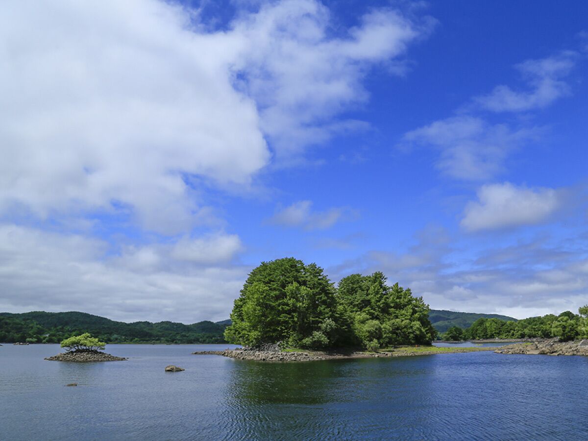 Un lac paisible, parsemé de deux îles bien distinctes : l’une abrite un arbre isolé, et l’autre est couverte d’une végétation luxuriante.