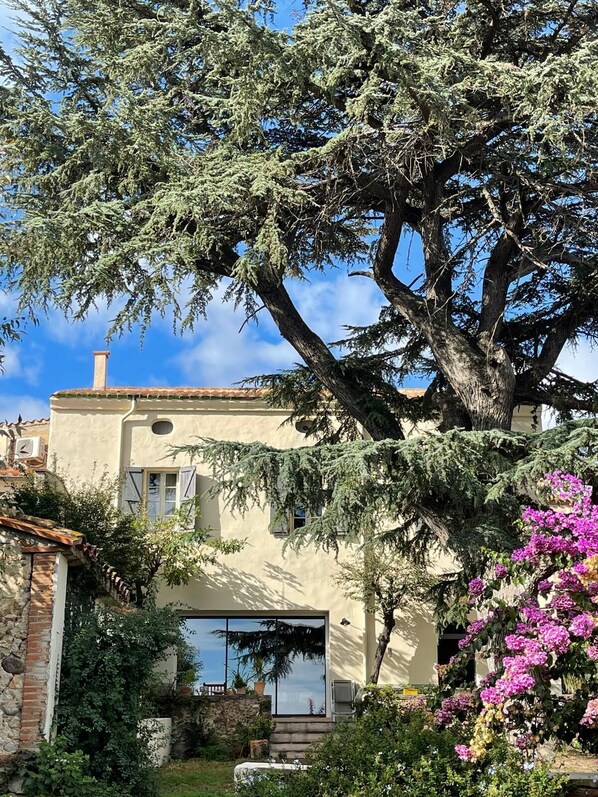 Una casa con un árbol grande en el frente, un muro de piedra y un jardín lleno de flores rosas.