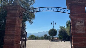 Una puerta con la inscripción 'Espace des Oliviers' y un cartel que indica que el espacio está abierto al público.
