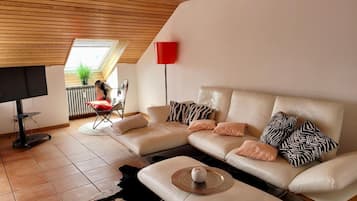 Fernseher, Stereoanlage