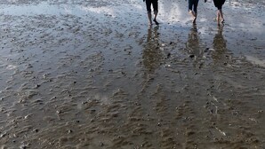 A beach with people walking on the wet sand. - Mobile Home 'Traumwagen An Der Mühle' with Private Terrace, Shared Garden and Wi-Fi (Nordermeldorf)