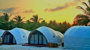Una hilera de tiendas de campaña con forma de cúpula y ventanas, ubicadas en una playa con palmeras al fondo.