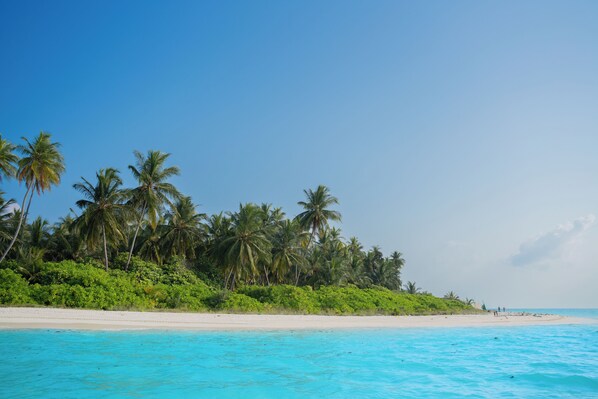 A beach with clear turquoise water, palm trees, and a sandy shore.