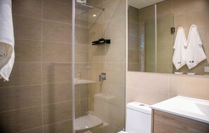 Shower, hair dryer, towels
