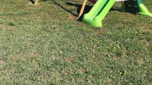 Un columpio de madera con un tobogán verde en un patio trasero cubierto de césped.