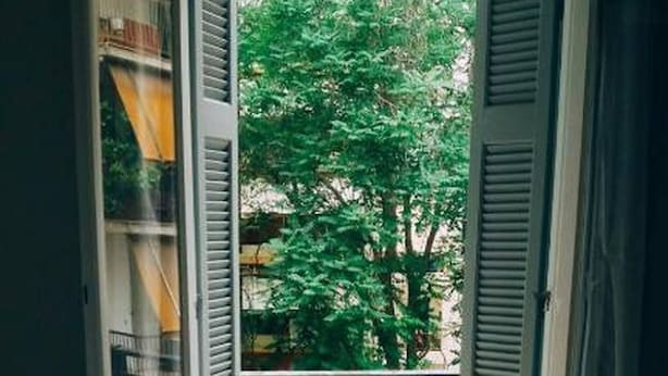 Departamento, 1 habitación, balcón, vista al jardín | Balcón