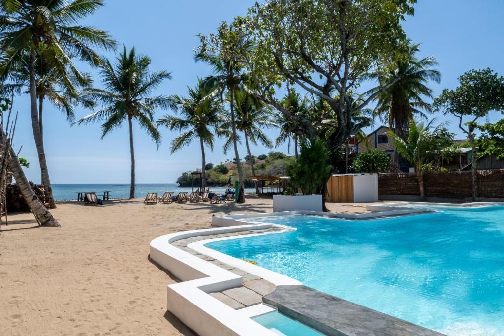 Una piscina de borde curvo, rodeada de palmeras y una playa.