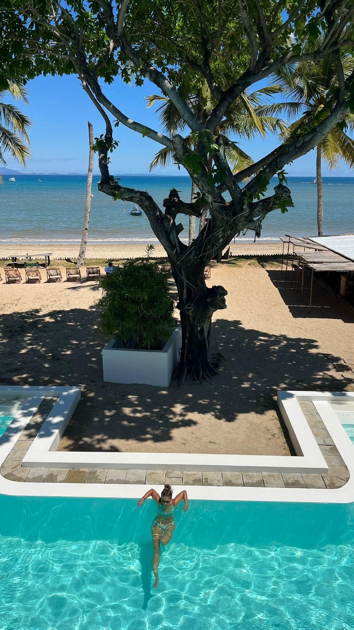 A pool area with a tree, beach chairs, and a view of the ocean.